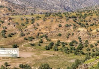 ۳۴ درصد از اعتبارات ملی منابع طبیعی همدان تخصیص یافته است