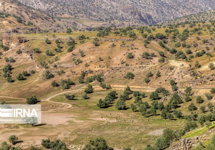۳۴ درصد از اعتبارات ملی منابع طبیعی همدان تخصیص یافته است ۳۴ درصد از اعتبارات ملی منابع طبیعی همدان تخصیص یافته است