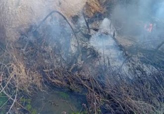 قطع درختان کهنسال و آتش عمدی در منطقه حفاظت شده عبدالرزاق سنندج قطع درختان کهنسال و آتش عمدی در منطقه حفاظت شده عبدالرزاق سنندج