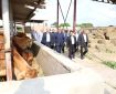 رئیس سازمان جهاد کشاورزی آذربایجان شرقی: حفظ گاو بومی سرابی صیانت از یک گنجینه ژنتیکی برای امنیت غذایی کشور است