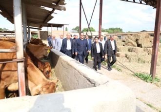 رئیس سازمان جهاد کشاورزی آذربایجان شرقی: حفظ گاو بومی سرابی صیانت از یک گنجینه ژنتیکی برای امنیت غذایی کشور است رئیس سازمان جهاد کشاورزی آذربایجان شرقی: حفظ گاو بومی سرابی صیانت از یک گنجینه ژنتیکی برای امنیت غذایی کشور است