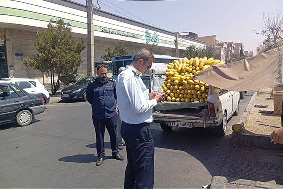 جمع‌آوری خودروهای اسقاطی و وانت‌های مزاحم در تهران آغاز شد